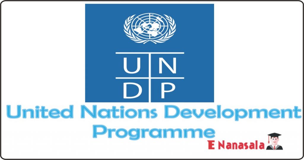 United Nations Development Programme - Consultant