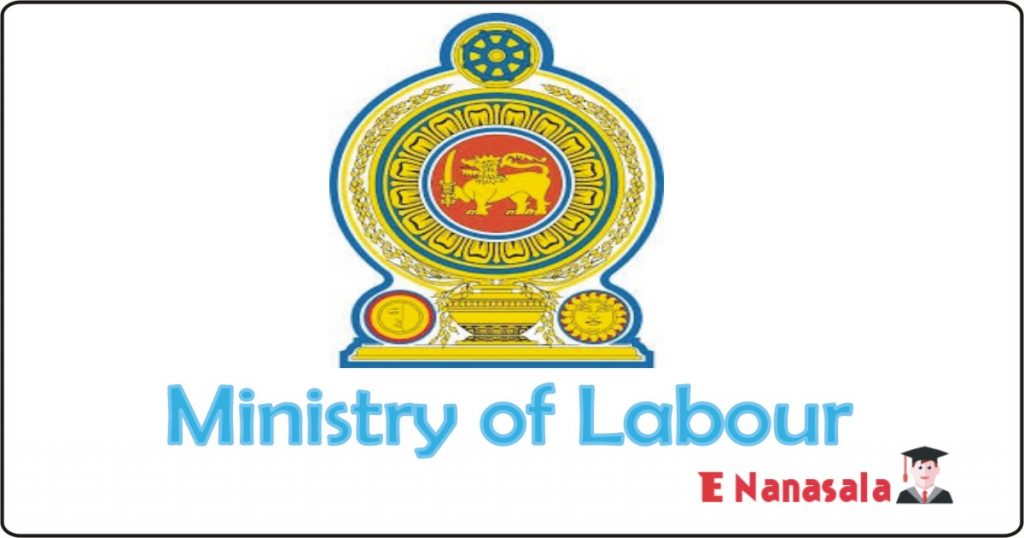 Ministry of Labour - Stenographer (Sinhala) Job Vacancies