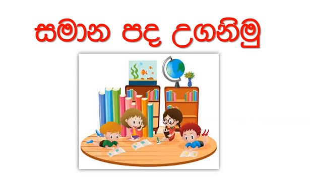 Similar Terms Grade 5 (Sinhala Lesson)