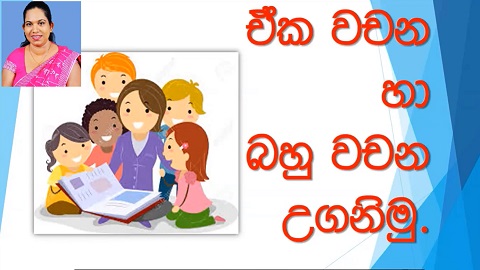 Singular and Plural Grade 5 (Sinhala Lesson)