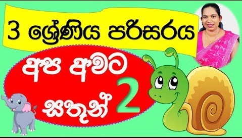 Sinhala Lesson Grade 3 Environment (Animals II)