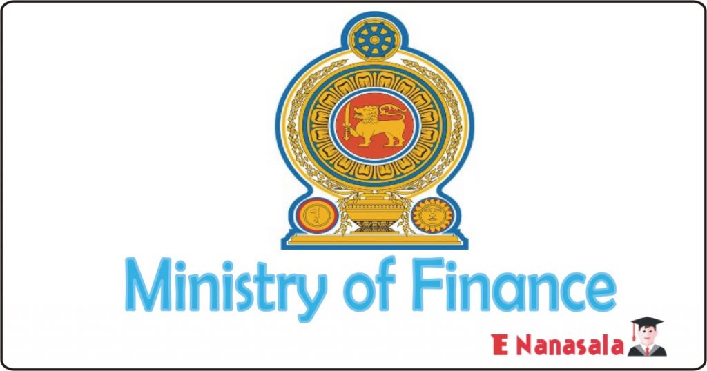 Ministry of Finance -Assistant General Manager , Deputy General Manager