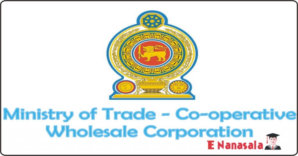 Ministry of Trade - Assistant Director ( Financial ), Internal Auditor