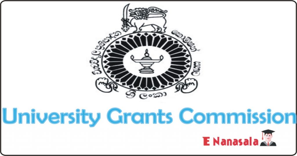 University Grants Commission Programmer Job Vacancies